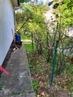 fotografia